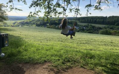 Schaukel wieder repariert